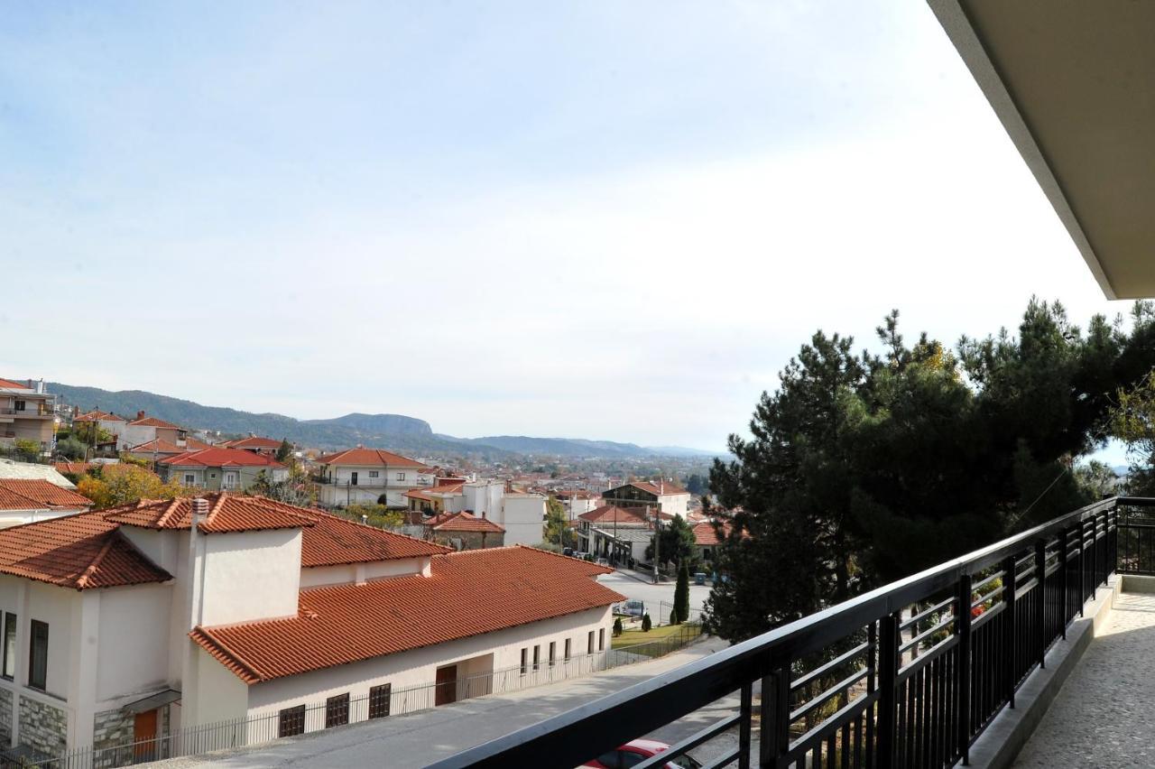 Ananta House Villa Калампака Екстериор снимка